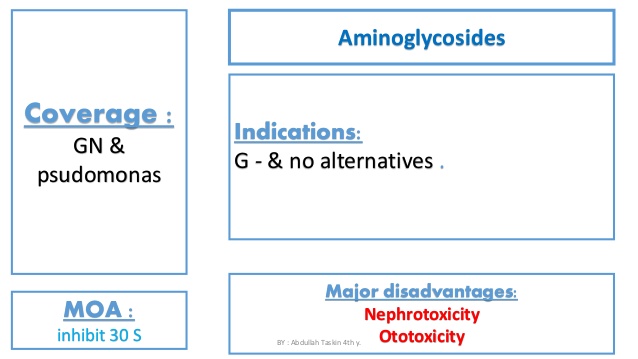 antibiotics simplified pdf